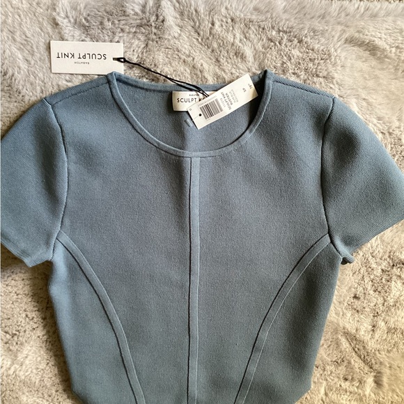 Babaton Aritzia Sculpt Knit Bustier Top - Picture 2 of 5